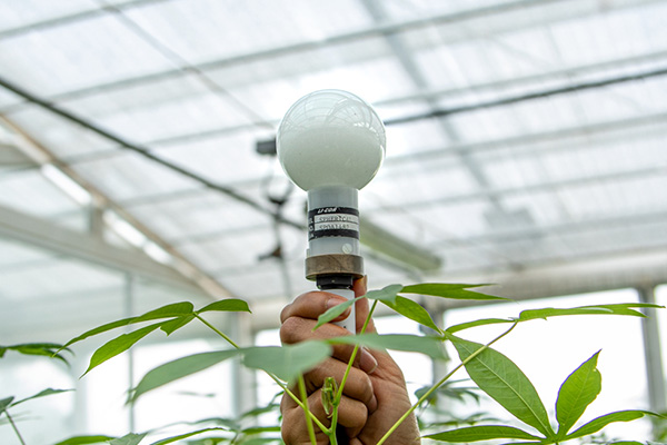 LI-6800 Portable Photosynthesis System